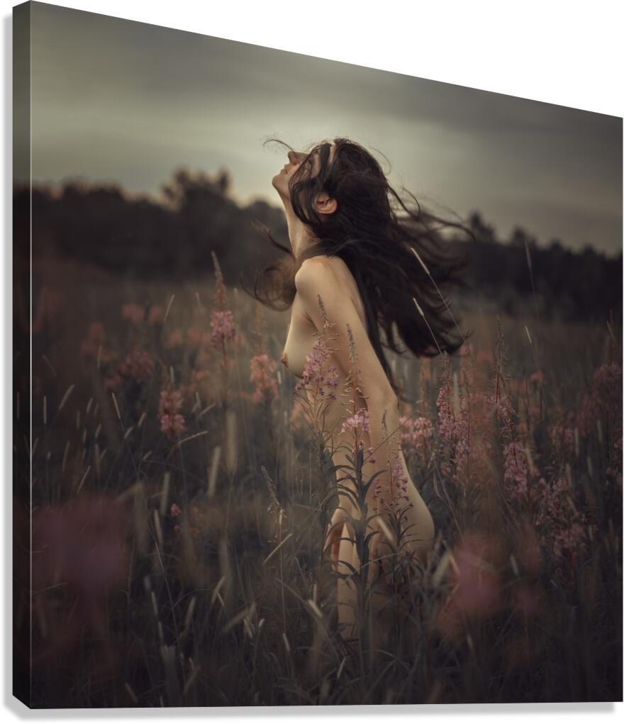 Wind Canvas Print