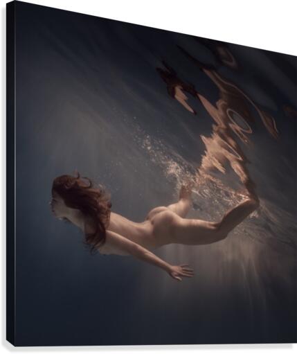 I like it Canvas Print