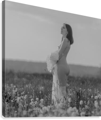 Dream about spring Canvas Print