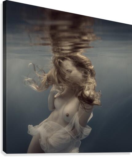Motion Canvas Print