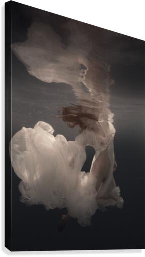 Radiance Canvas Print