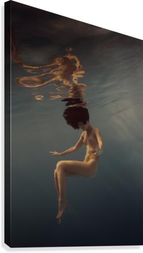 Another world Canvas Print