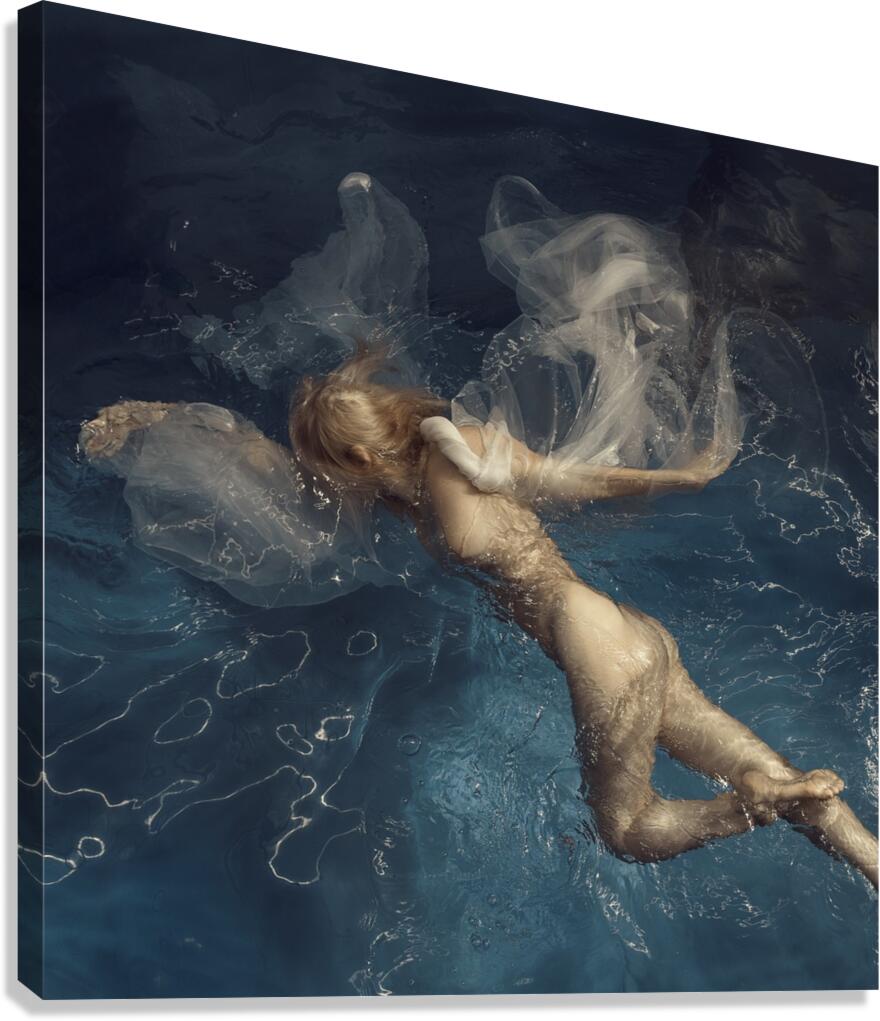 Bird Canvas Print