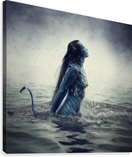 Navi Canvas Print