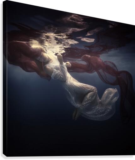 Light and darkness Canvas Print