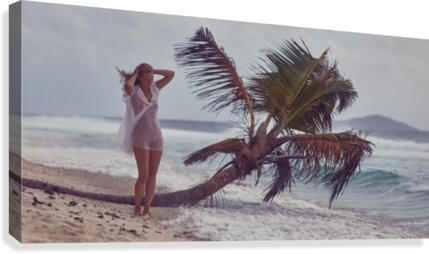 Always summer Canvas Print