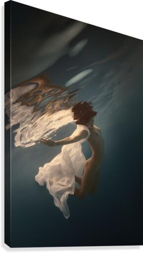 Small fish Canvas Print