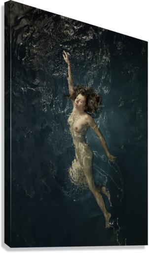 Glare Canvas Print