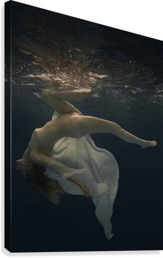 Elina Canvas Print