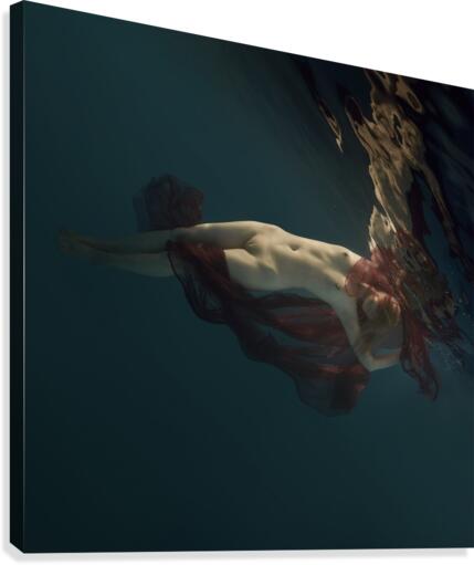 Elina Canvas Print