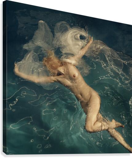 Aqua Canvas Print