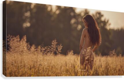 Warm evening Canvas Print