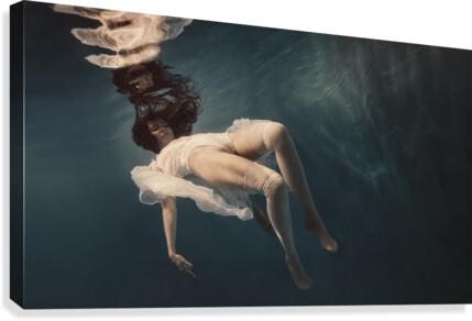 Dance Canvas Print
