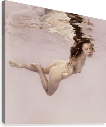 Lightness Canvas Print