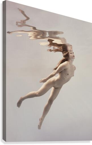 To fly Canvas Print
