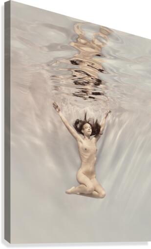 To fly Canvas Print