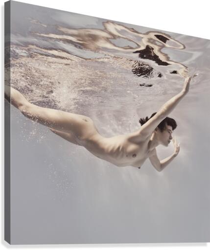 Like a bird Canvas Print