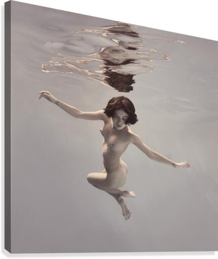 Like a bird Canvas Print