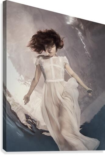 Zero gravity Canvas Print