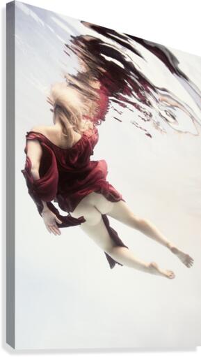 Gravity Canvas Print