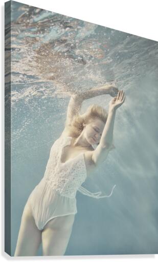 Shine Canvas Print