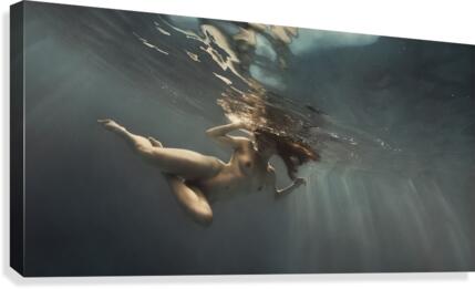 Silence Canvas Print