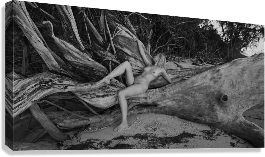 Wild beach Canvas Print