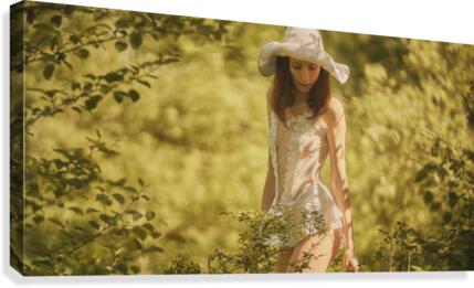 Summer tenderness Canvas Print