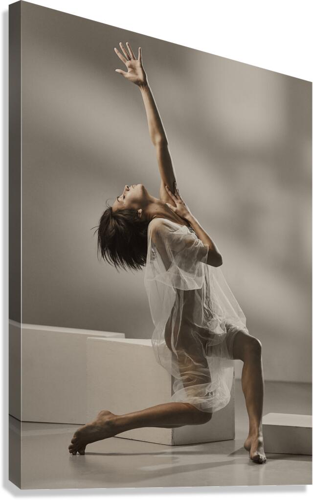 Soft contours Canvas Print