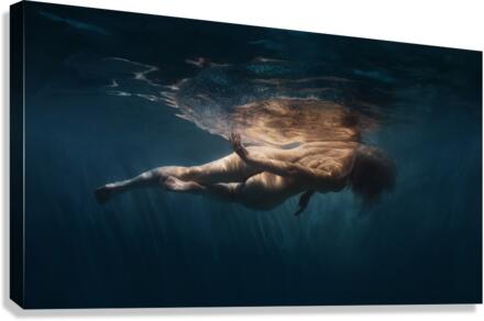 Light and darkness Canvas Print