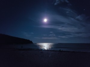 Moonlit Beach in Maine