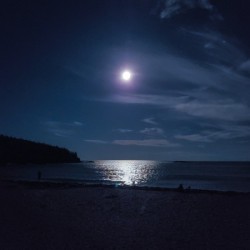 Moonlit Beach in Maine