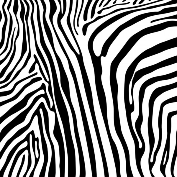 vector zebra stripes seamless pattern Print