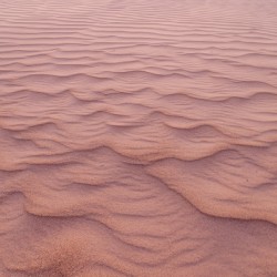 Whispers of the Dunes: Wind Patterns in the Imperial Sand Dunes Yuma AZ