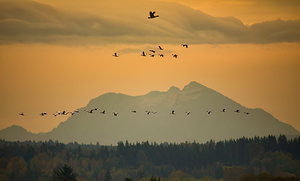 Autumn sunset 