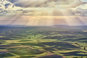 PALOUSE SUNRISE 