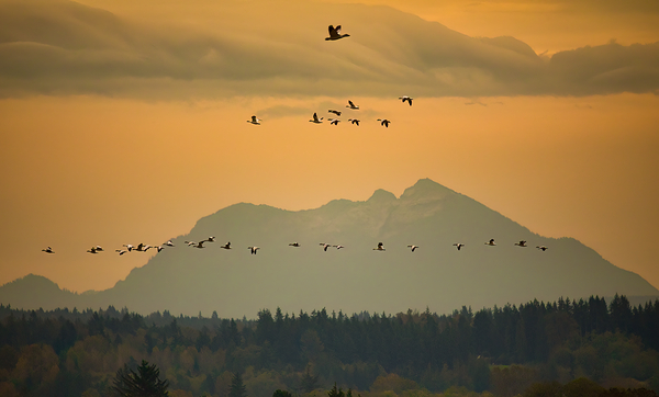 Autumn sunset  by ISABELLA SMEDLEY