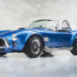 Shelby Cobra csx 40th Anniversary Edition