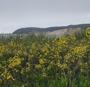 20220603 162436 resized