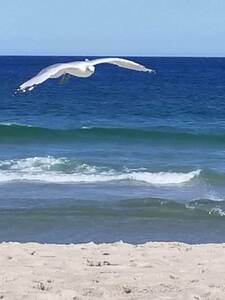 FB IMG 1569797939218