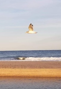 FB IMG 1576336849266