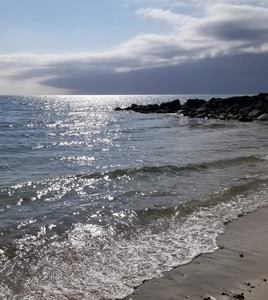 FB IMG 1649980619858 9131471785004