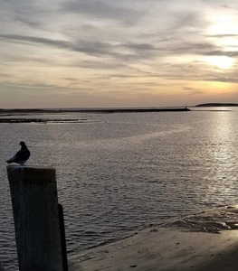 FB IMG 1677598158069 9574809693532