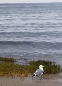 FB IMG 1677598173395