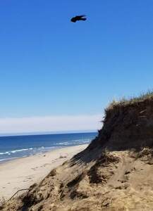 FB IMG 1678805390271