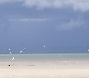 FB IMG 1678805525256