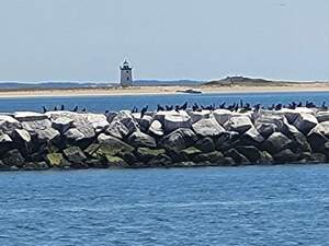 FB IMG 1684908184273