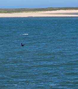 FB IMG 1685634169954