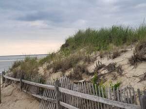 FB IMG 1686184537377