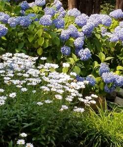 FB IMG 1690141602829